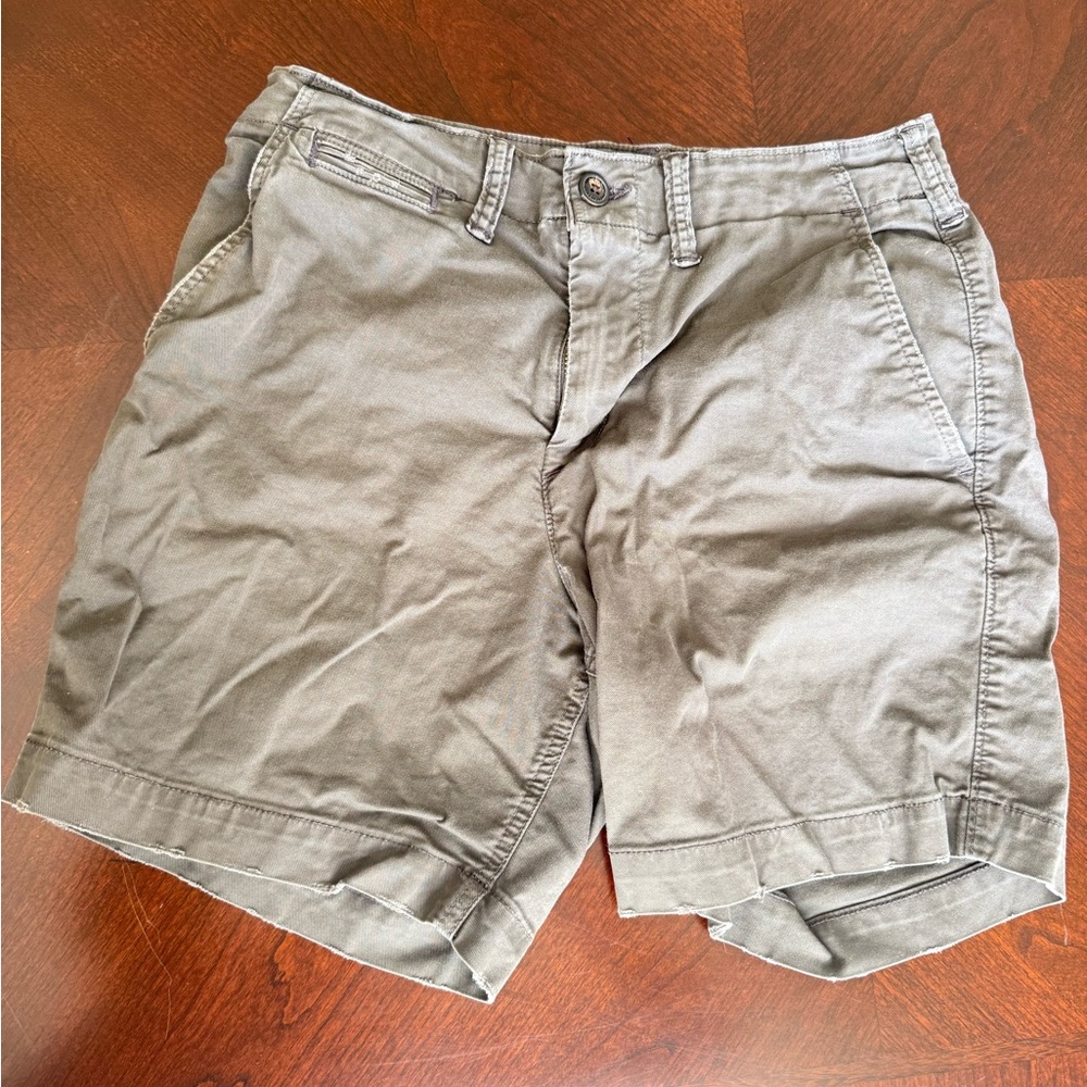 American Eagle Outfitters Men's Gray Flat Front Shorts